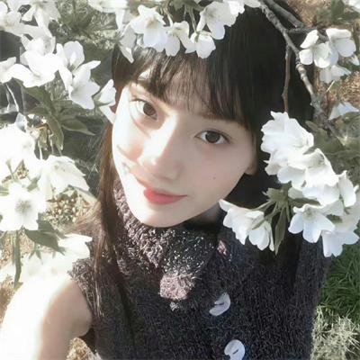 封口之谜 海报